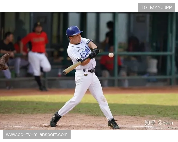 棒球击球者的节奏与选球训练：打造致命击球的秘密武器